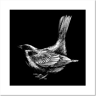 bird vintage hand drawing design Posters and Art